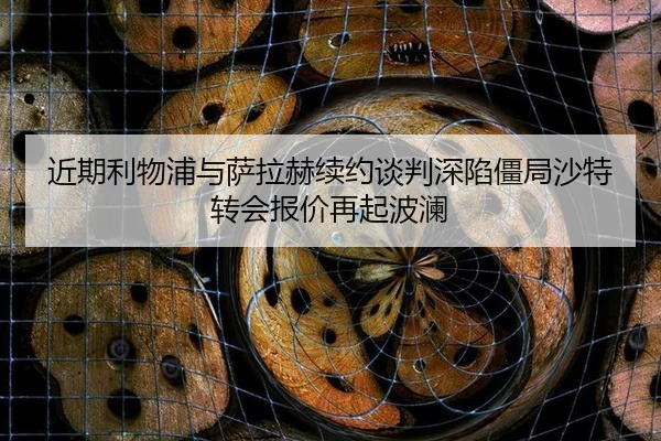 jin-qi-li-wu-pu-yu-sa-la-he-xu-yue-tan-pan-shen-xian-jiang-ju-sha-te-zhuan-hui-bao-jia-zai-qi-bo-lan-3-572.jpg