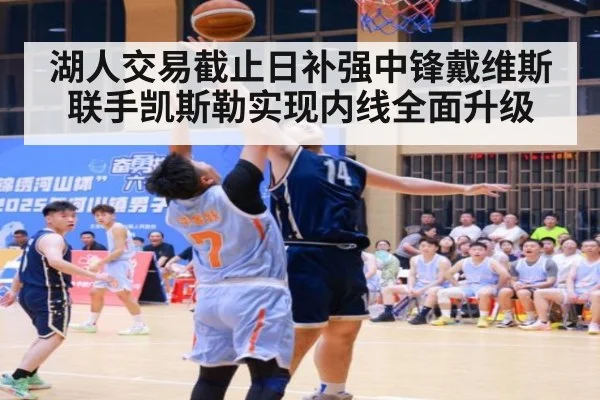 湖人交易截止日补强中锋戴维斯联手凯斯勒实现内线全面升级